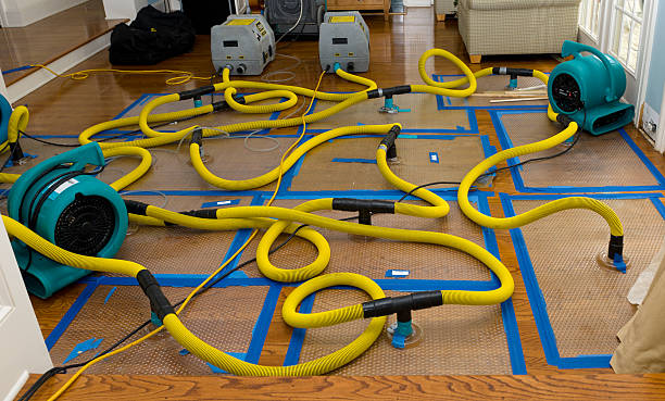 Professional Crawl Space Water Removal technician working in New Melle, MO